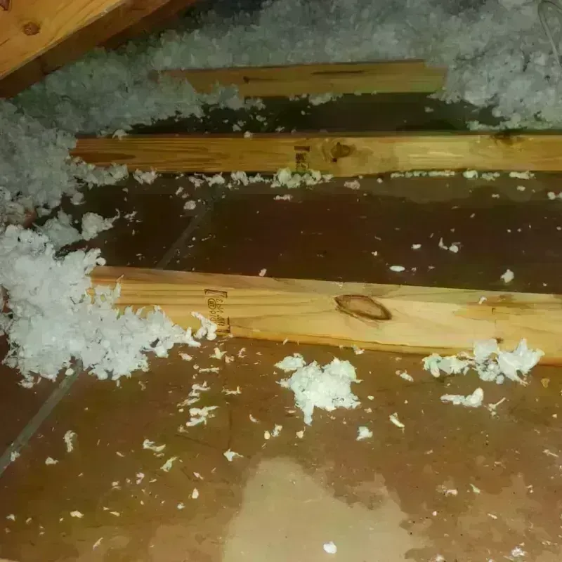 Attic Water Damage in Elsa, TX