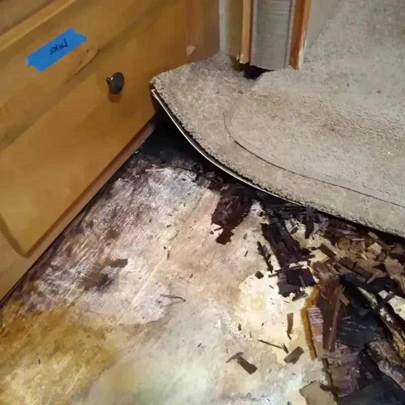 Wood Floor Water Damage in Elsa, TX